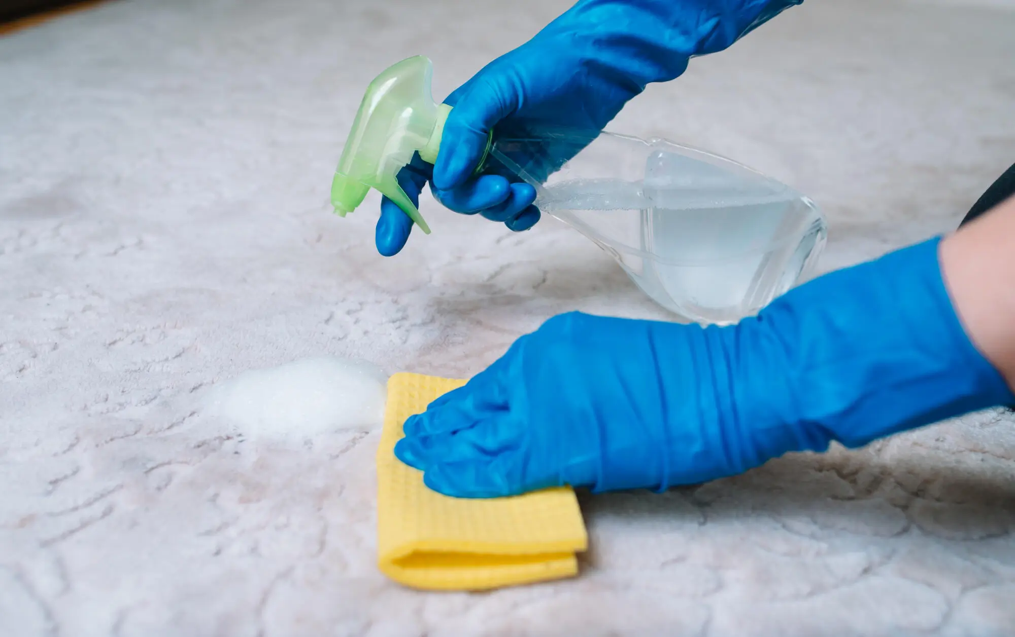 Tackling Stains and Spills in Your Rental in Fort Lauderdale, FL with Ease